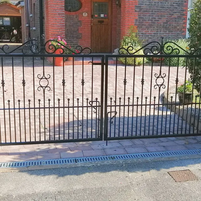 Wrought iron driveway gates